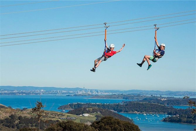 Waiheke Island: Zipline And Forest Walk - The Minivan Intro and Trig Hill Views You’ll Actually Remember