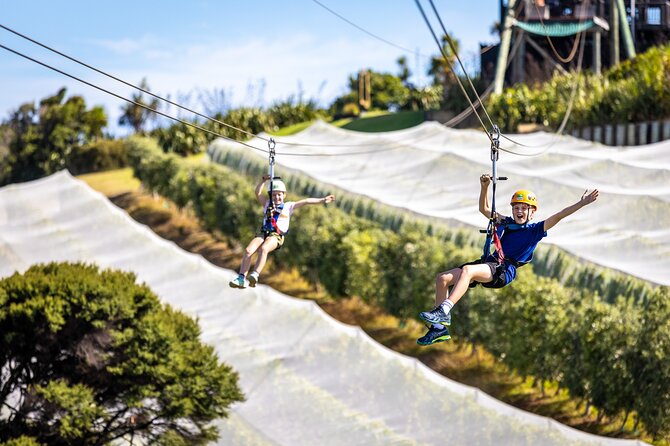Waiheke Island: Zipline And Forest Walk - The Forest Walk Back: A Calm Reset Through Native Bush