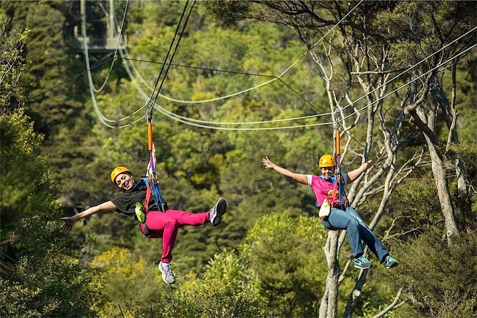 Waiheke Island: Zipline And Forest Walk - Weather, Clothes, and the Real-Life “Do I Need to Worry?”
