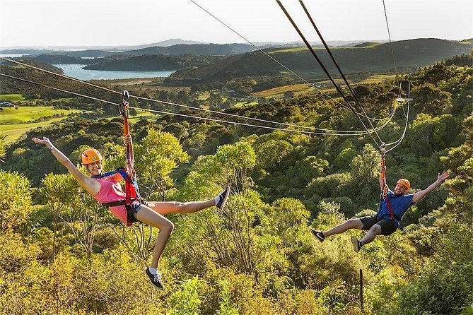 Waiheke Island: Zipline And Forest Walk - Who Should Book This Zipline + Forest Walk, and Who Might Skip It?