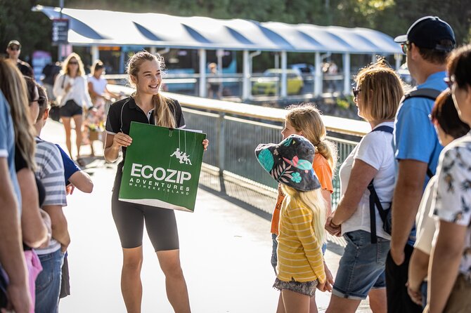 Waiheke Island: Zipline And Forest Walk - Small-Group Energy: Two Guides and a Safety-First Flow