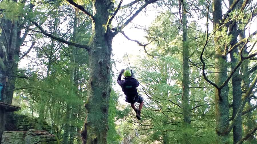 Waitomo Caves 1-Kilometer-Long Zipline Tour - Key Things That Make This Tour Worth Your Time