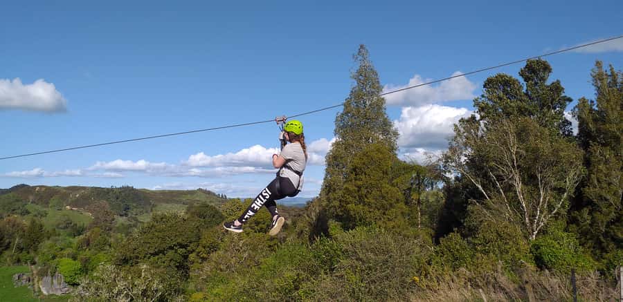 Waitomo Caves 1-Kilometer-Long Zipline Tour - The Route: From Native Trees to Waitomo Lookout Point
