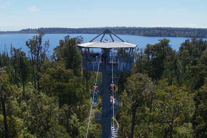 West Coast Tower Zipline & Treetop Walk Combo - Key Things I’d Plan Around