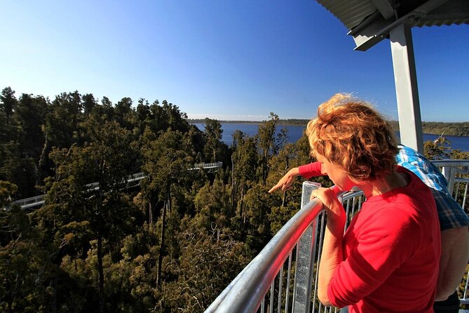 West Coast Tower Zipline & Treetop Walk Combo - The Real Hook: Treetops, Then a 45m Tandem Zipline