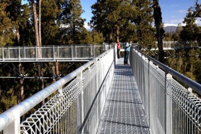 West Coast Tower Zipline & Treetop Walk Combo - Getting There and What the Start Feels Like (Ruatapu Basepoint)