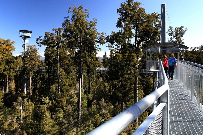 West Coast Tower Zipline & Treetop Walk Combo - The Tandem Zipline at 45m: How to Get the Most From the Ride