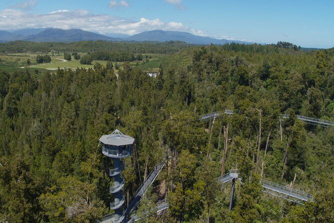 West Coast Tower Zipline & Treetop Walk Combo - After the Adventure: The Post-Zip Line Cafe Reset