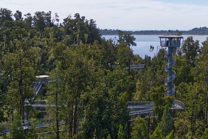 West Coast Tower Zipline & Treetop Walk Combo - Price and Value: Is $74.47 Worth It?