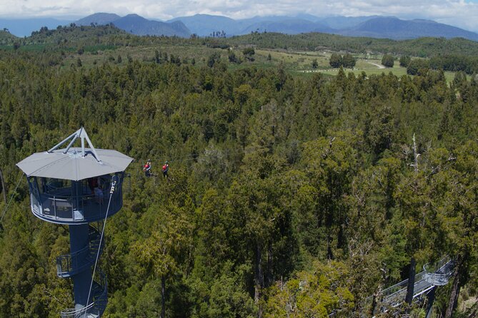 West Coast Tower Zipline & Treetop Walk Combo - Who Should Book This (And Who Might Skip It)