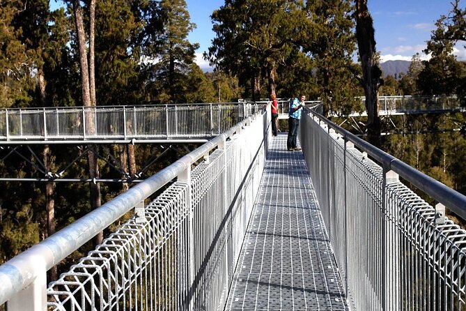 West Coast Tower Zipline & Treetop Walk Combo - Getting There and What the Start Feels Like (Ruatapu Basepoint)