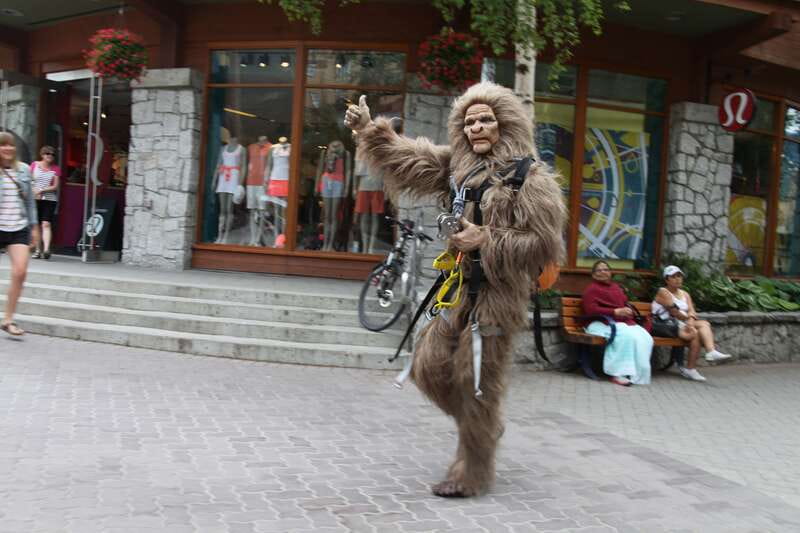 Whistler: The Longest Zipline in North America - Should You Book Ziptrek’s Longest Zipline in North America?