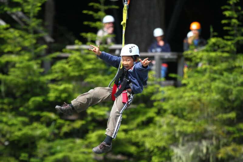 Whistler Zipline Experience: Ziptrek Bear Tour - The 33-acre rainforest playground and meeting Big Doug
