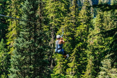 Whistler: Ziplining Experience - Where You Check In: Carleton Lodge Across From the Gondola