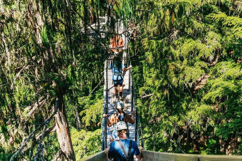 Whistler: Ziplining Experience - The Eagle Tour Route: 5 Ziplines, 4 Bridges, and Tandem Fun