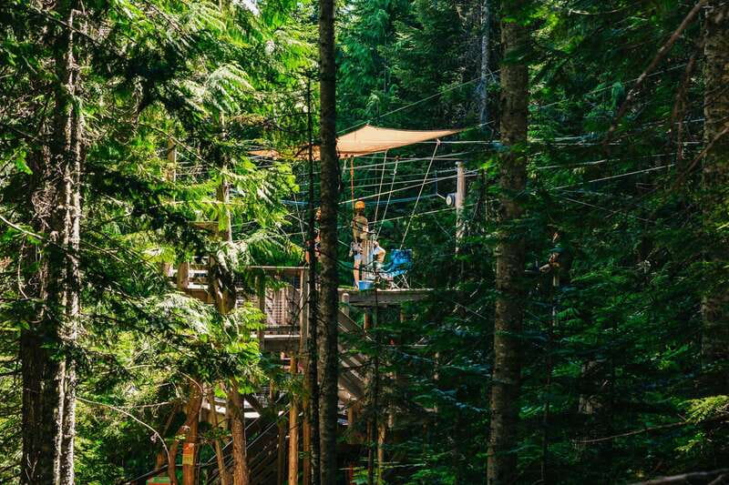 Whistler: Ziplining Experience - Views Over Fitzsimmons Valley and Blackcomb: A Smarter Kind of Sightseeing
