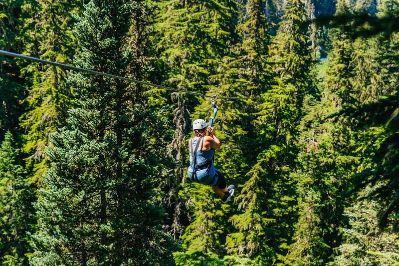 Whistler: Ziplining Experience - Where You Check In: Carleton Lodge Across From the Gondola