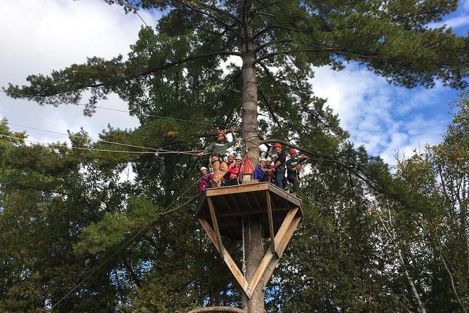 Wildman Zip Line Tour - How to Plan Your Timing and What to Bring