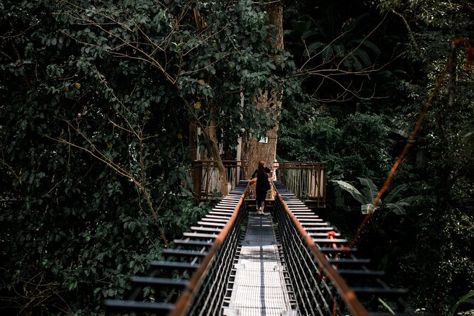 World B+ (Zipline 18 Platforms + Roller + Sky Walk with World Set Menu ) - Safety, equipment, and staff support you can feel in the details