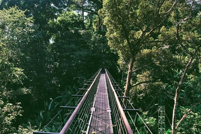 World B+ (Zipline 18 Platforms + Roller + Sky Walk with World Set Menu ) - Who this is best for in Phuket (and who should think twice)