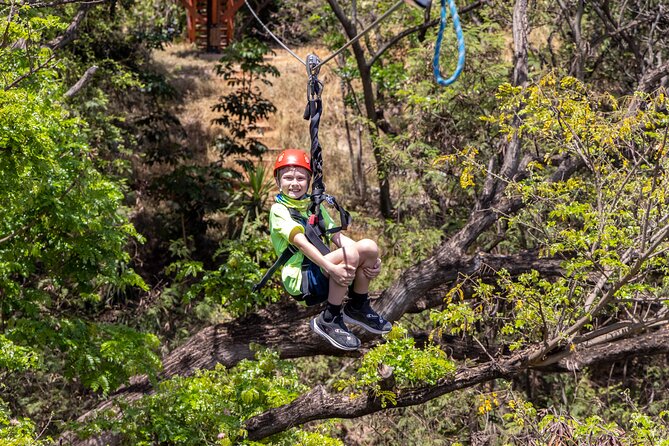 Zip & Dip: Zipline and Wet 'n' Wild Waterpark Combo - Price and Value Check: Is $176.03 a Good Deal for You?