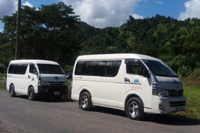 Zip line Fiji ex Fiji Marriot w/private transfer dropoff Nadi Airport or resort - The 3-Hour Flow: Gear Up, Ride, Cave Stop, Then Finish