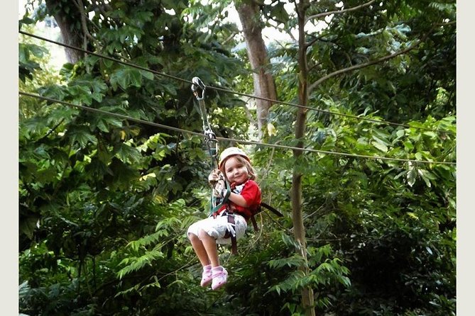 Zip Line - Half Day Adventure - How many rides are you actually getting? 6-line core plus up to 12 ziplines