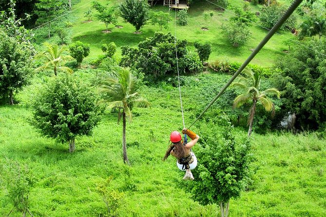 Zip Line in Punta Cana - Ziplining Above the Jungle Canopy in Punta Cana