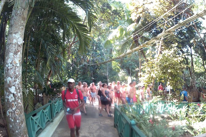 Zip Line over the Dunns River Falls - Key things I’d bank on before you go