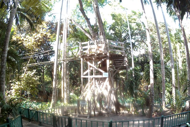 Zip Line over the Dunns River Falls - Getting There from Montego Bay: Comfort Matters More Than You Think