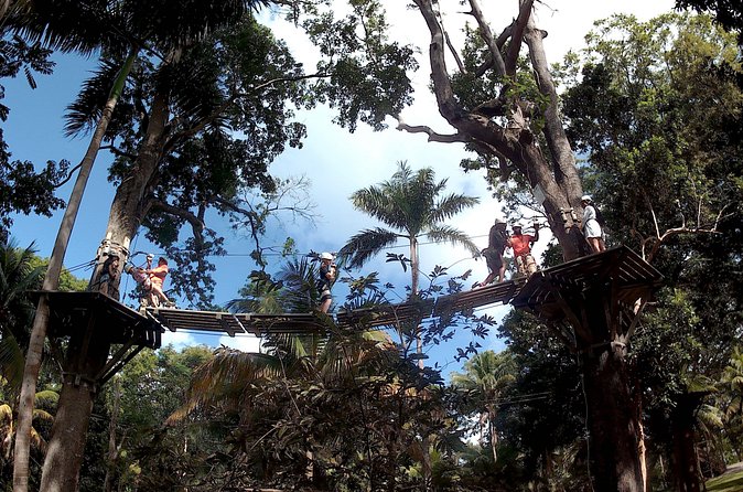 Zip Line over the Dunns River Falls - Armbands, Safety Gear, and the Start-Up Nerves Factor