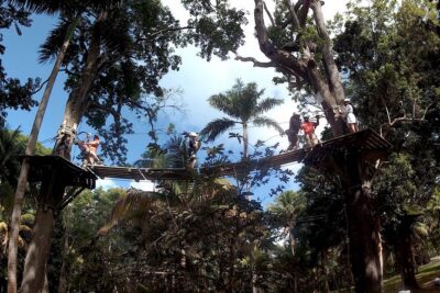 Zip Line over the Dunns River Falls - Entering Dunn’s River Park Fast: That Access Pass Is Real Value