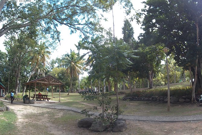 Zip Line over the Dunns River Falls - The Views From the Top: What You’re Actually Paying For