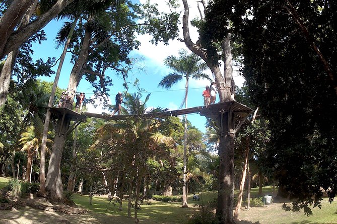 Zip Line over the Dunns River Falls - How Long Is the Zip Line Course? (The Part That Can Change Everything)