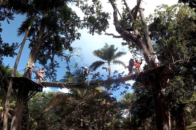 Zip Line over the Dunns River Falls - Waterfall Time After the Zips: Terraces, Time, and Pace