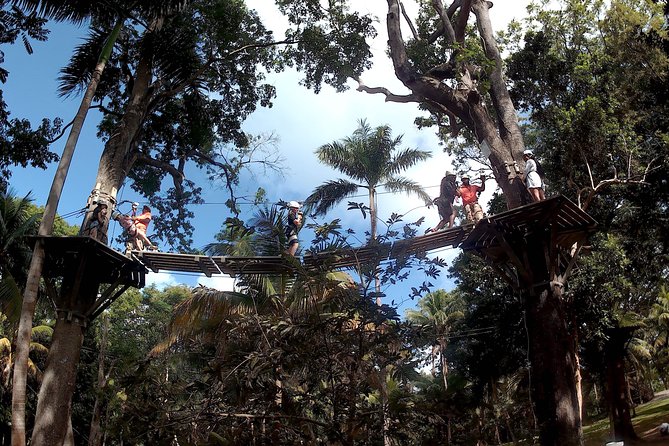 Zip Line over the Dunns River Falls - Entering Dunn’s River Park Fast: That Access Pass Is Real Value