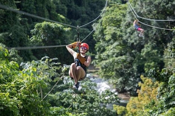 Zipline Adventure in Punta Cana – Thrilling Canopy Experience - Weather and Day-of-Operation Reality Checks