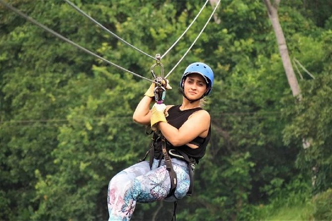 Zipline Adventure In The Rainforest - Key Points Before You Go