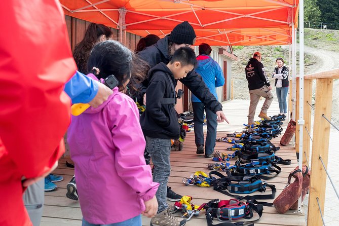 Zipline Adventure in Whistler - Bear vs Eagle: Choosing the Right Route for Your Group