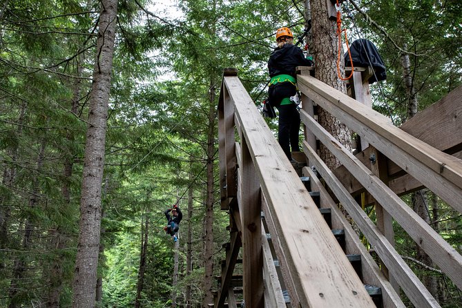 Zipline Adventure in Whistler - What Happens During the 2.5 Hours: A Clear Run-Through