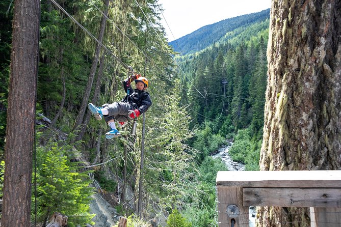 Zipline Adventure in Whistler - The Real Drawback: Stairs and Uphill Walking Between Lines