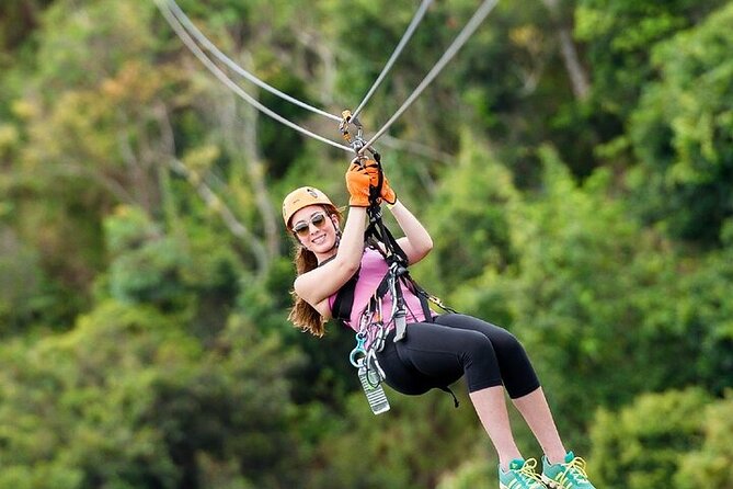 Zipline Adventure Tour - What the Course Is Like: Stairs, Platforms, and Eight Separate Flights