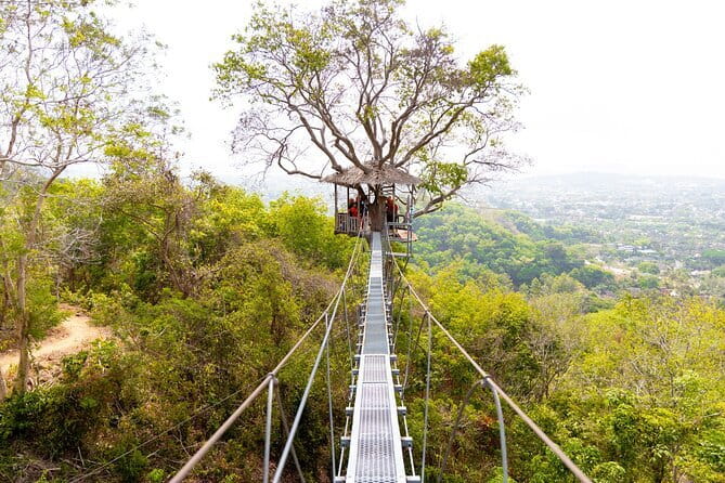Zipline and ATV Skyline Adventure Phuket Include Pickup Transfer - The Zipline Course: Jungle Air, Big Views, and Clear Limits