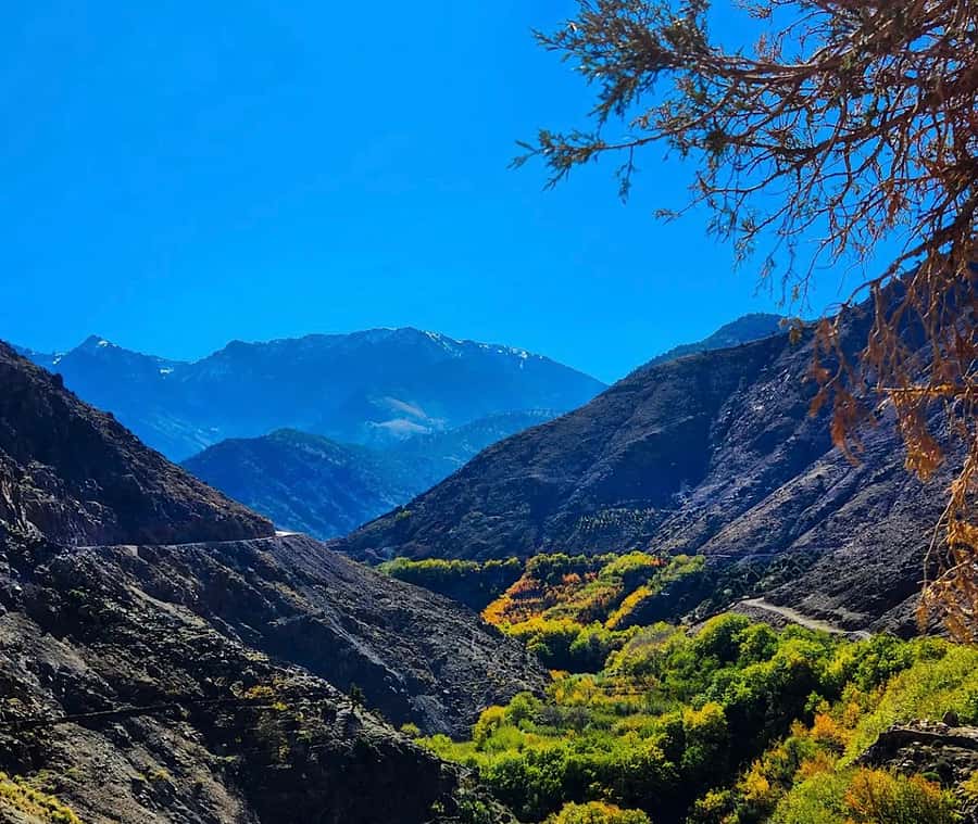 Zipline and Camel Adventures in Marrakech - Berber villages and Argan cooperative: the cultural thread