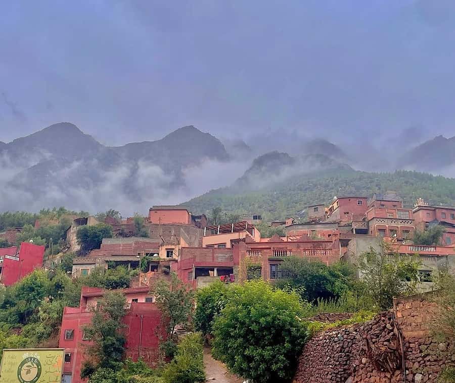 Zipline and Camel Adventures in Marrakech - Group size, guide quality, and languages that keep things clear