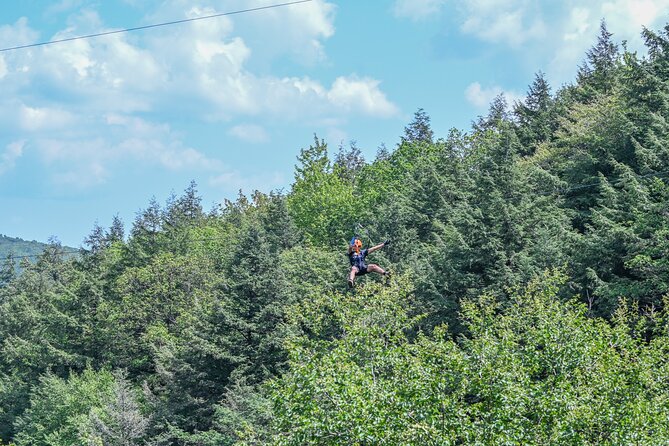 Zipline Canopy Activity Admission at Bristol Mountain - Key Highlights at Bristol Mountain Canopy