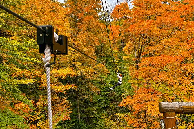 Zipline Canopy Activity Admission at Bristol Mountain - Bristol Mountain Canopy: What Makes It Feel Like More Than Ziplining