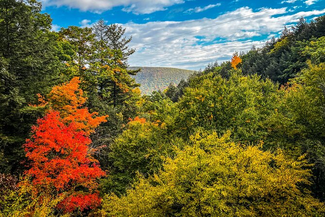 Zipline Canopy Activity Admission at Bristol Mountain - Guide Support and Small-Group Flow: The Real Value in the Details