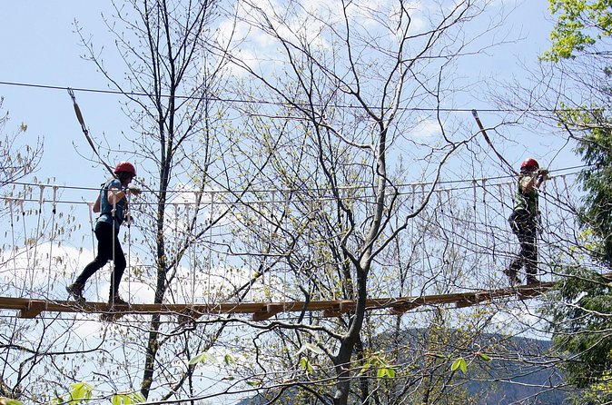 Zipline Canopy Tour- ArborTrek at Smugglers Notch Resort - Should You Book This Zipline Canopy Tour?