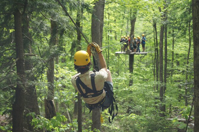 Zipline Canopy Tour- ArborTrek at Smugglers Notch Resort - The Course Highlights: 8 Ziplines, 2 Suspension Bridges, and 2 Tree Rappels